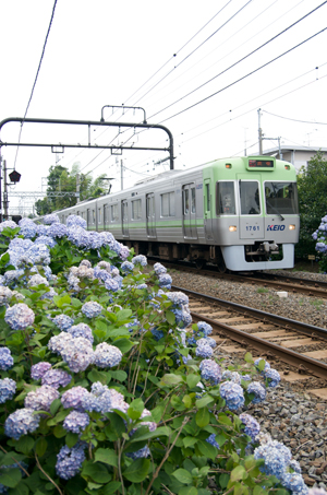 ライトグリーンの1000系（浜田山～西永福にて）